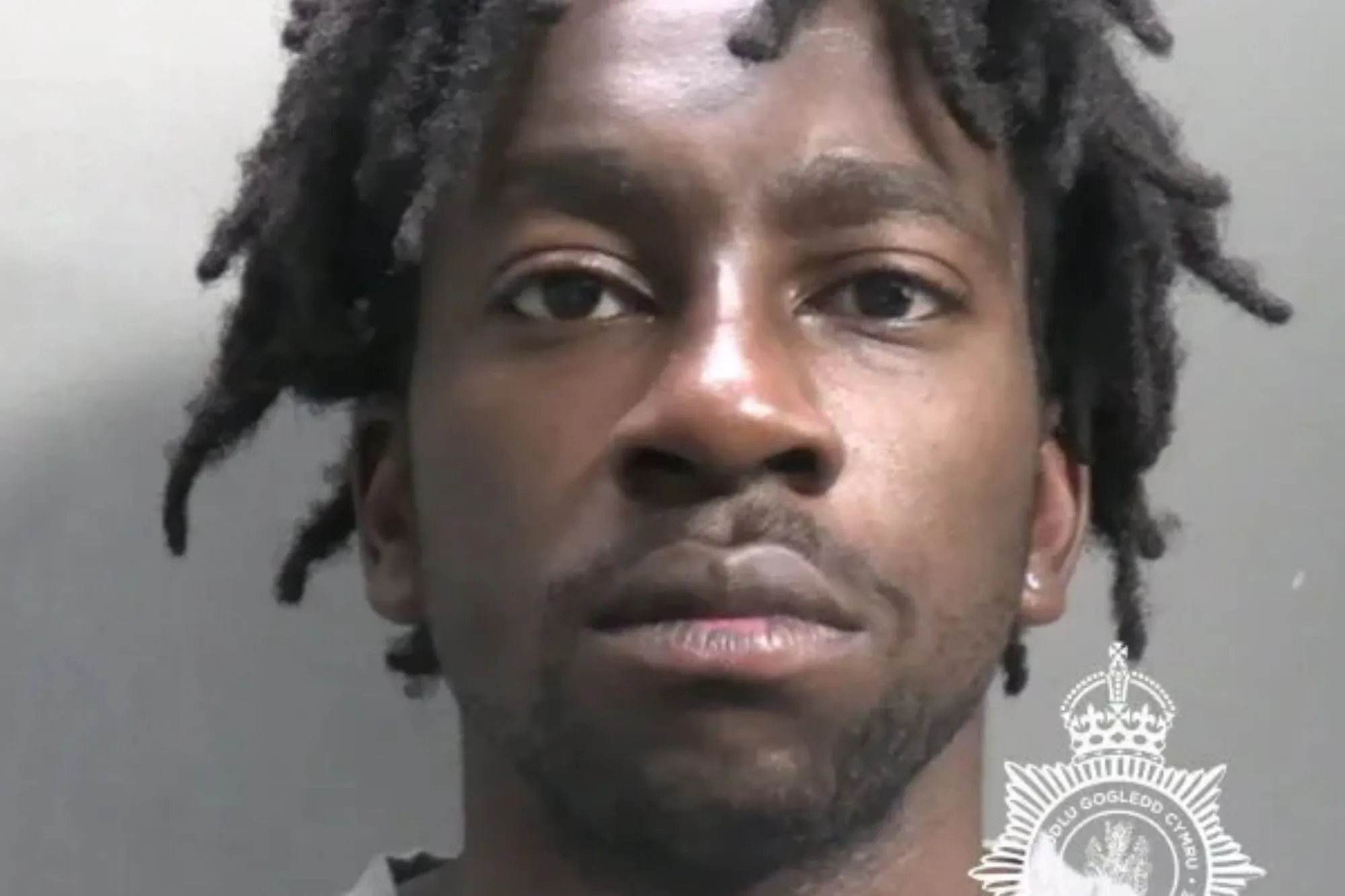 Migrant who raped teen after dodging deportation over his ‘human rights’ told her ‘I think you’ve had enough now’