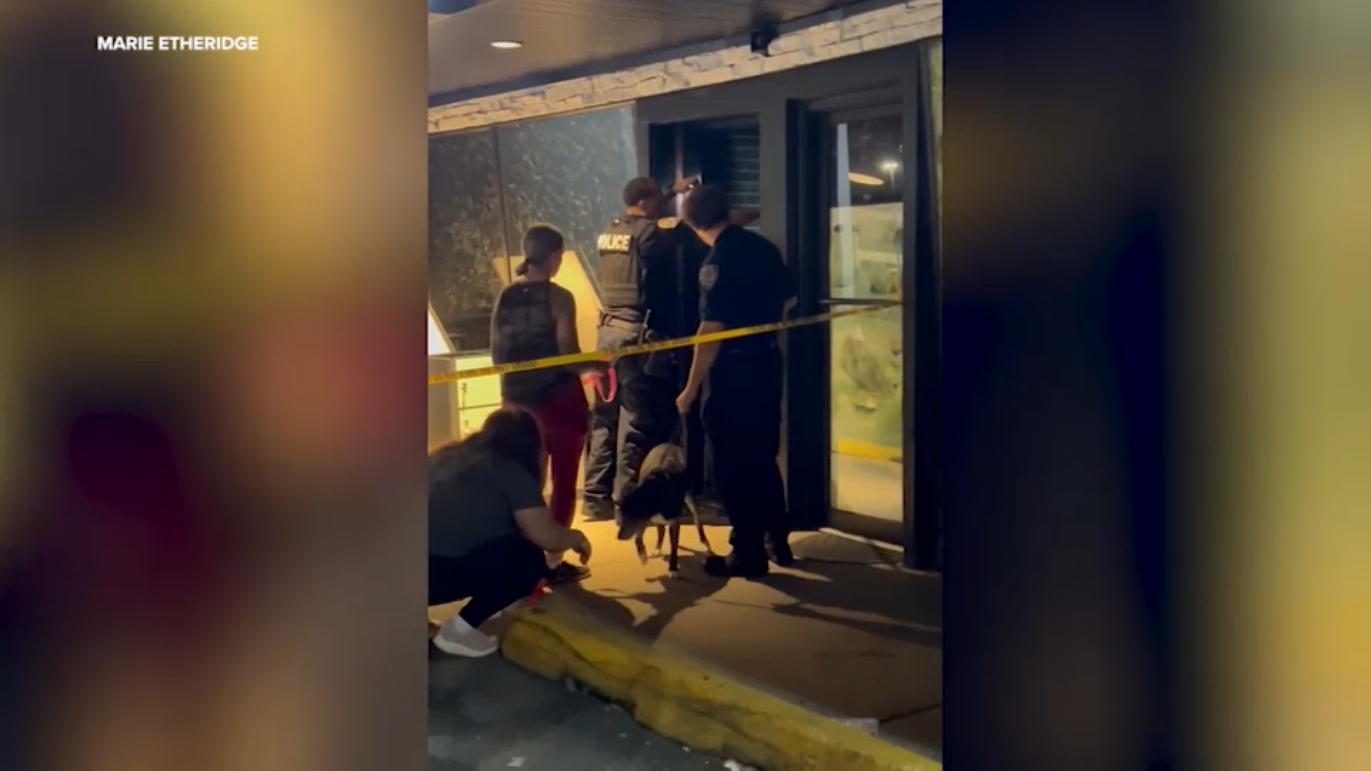 Owner denies neglect after 21 dogs removed from Long Island animal day care