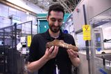 66-Million-Year-Old Mineralized Blood Vessels Reveal How the Largest Known T. rex Began Healing a Broken Rib