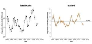North American waterfowl survey finds slight decline