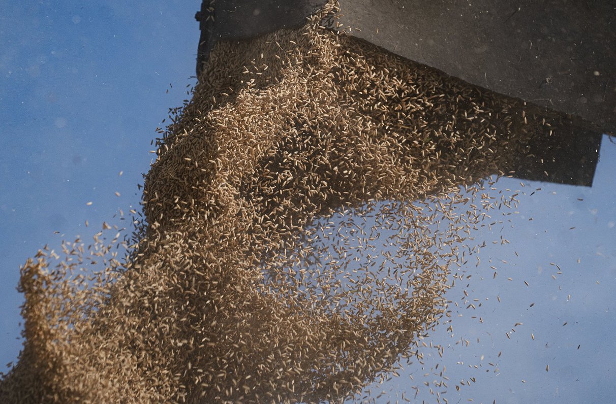 Is stolen grain from Ukraine beng shipped via Latvia?