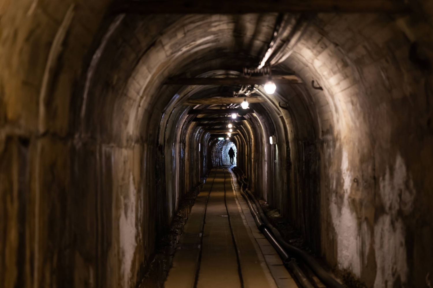 South Korea to skip Sado mine memorial service for third year