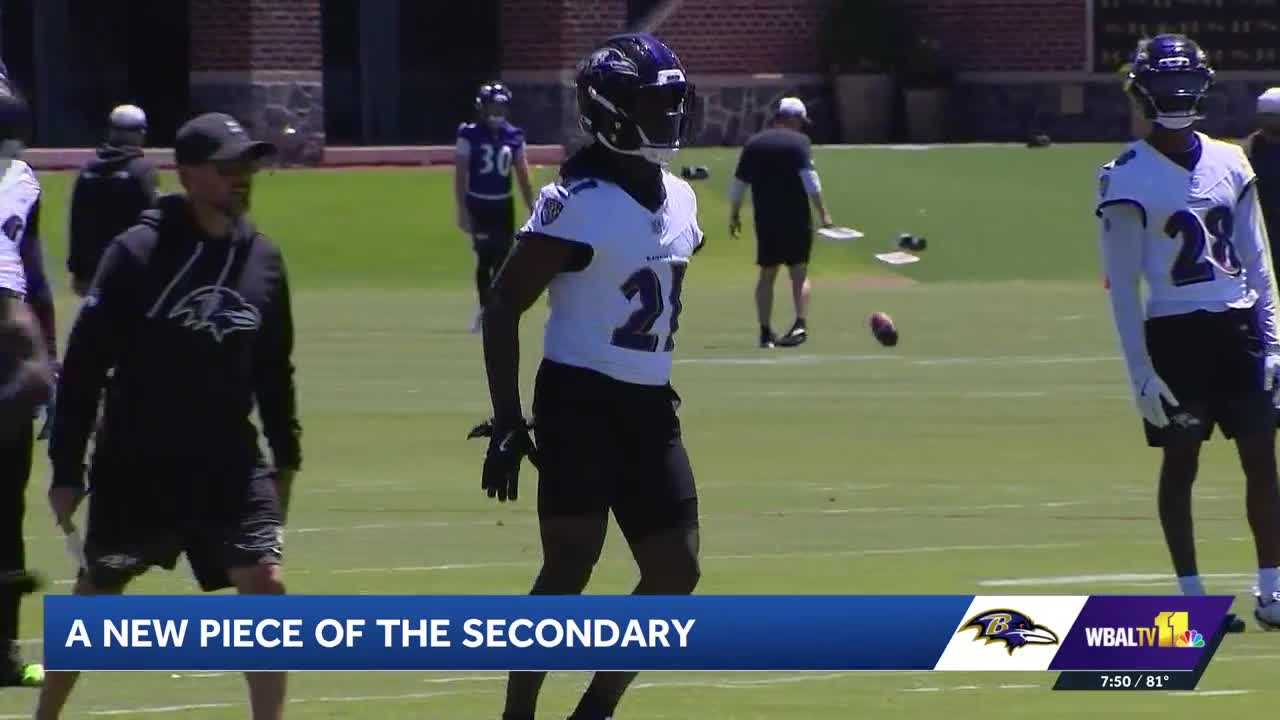 The new faces you'll see on the Baltimore Ravens