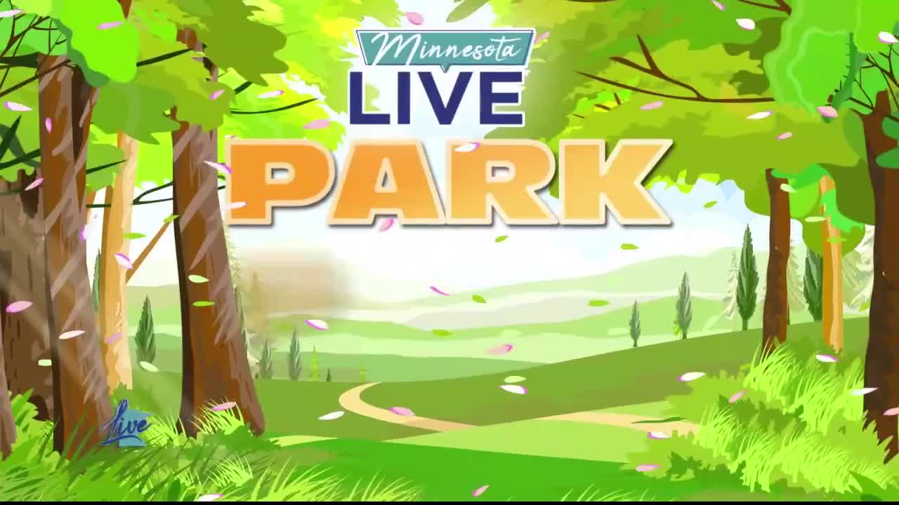 Park Picks: Buffalo River State Park