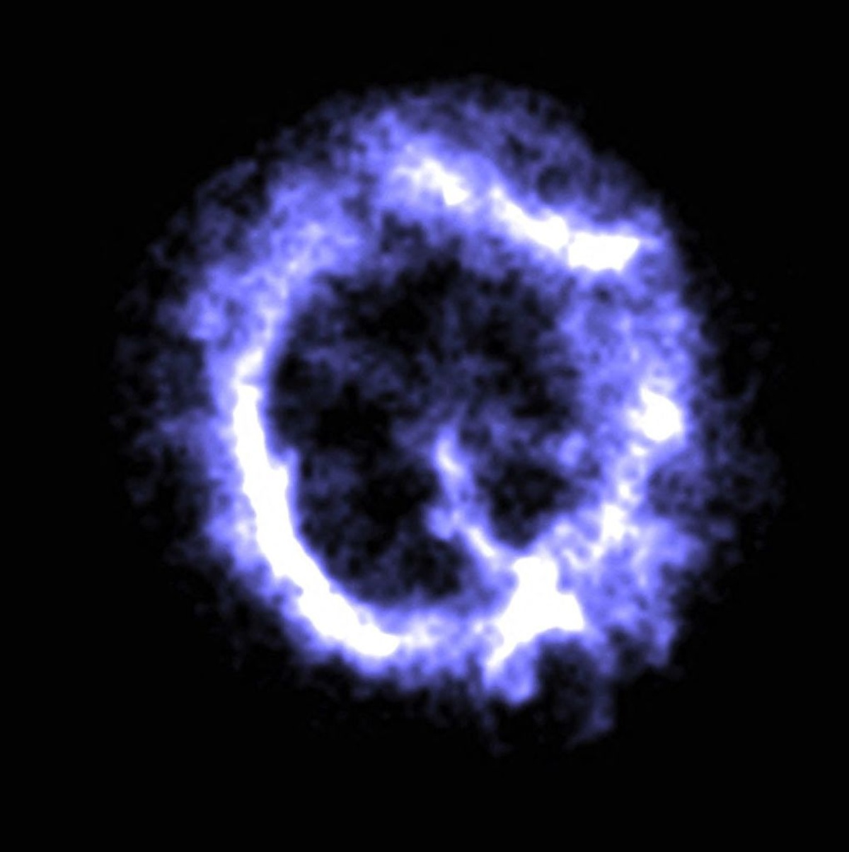 Unified Supernova Catalog Delivers Sharpest Dark Energy Constraints on Record