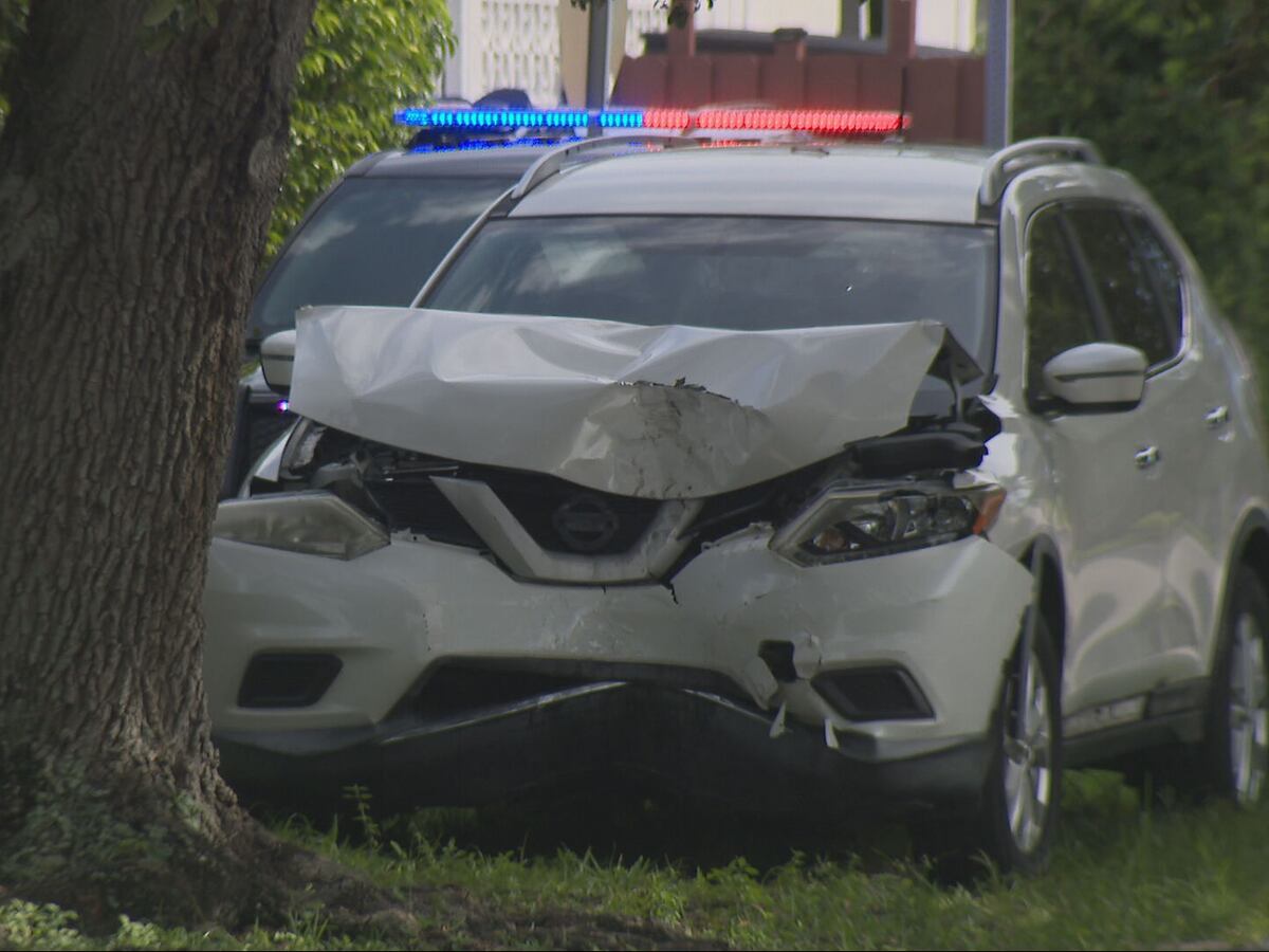 Woman hospitalized, SUV badly damaged after crash with tree in Hallandale Beach