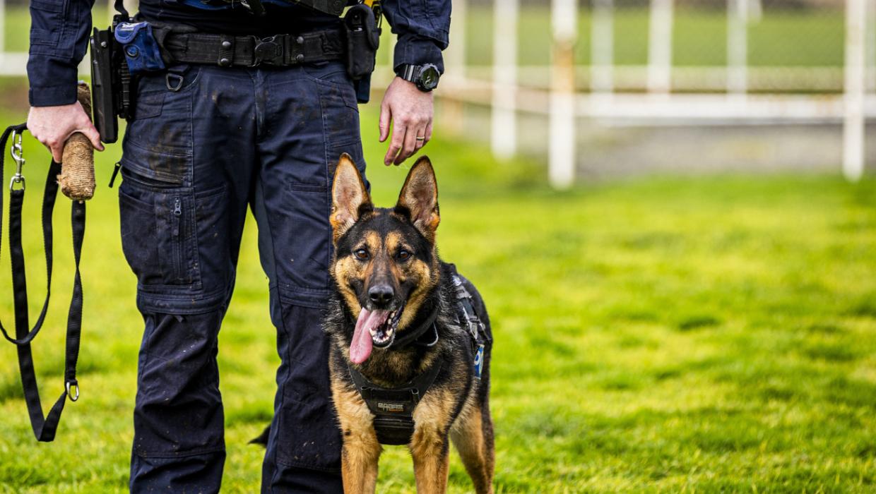 Man choked police dog after fleeing officers. The watchdog says what happened next was justified