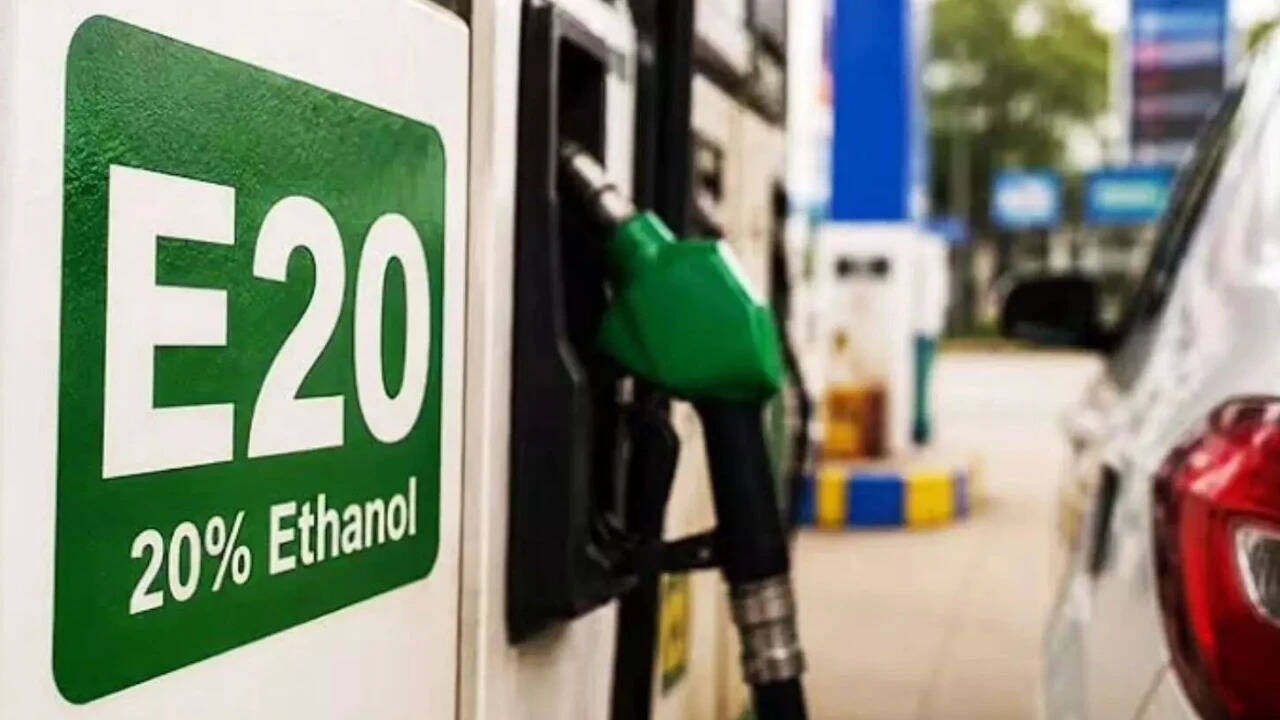 PM aide: E20 cap likely for existing vehicles