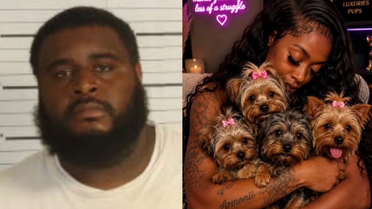 Trusted pet groomer arrested, accused of killing several dogs that were left in his care