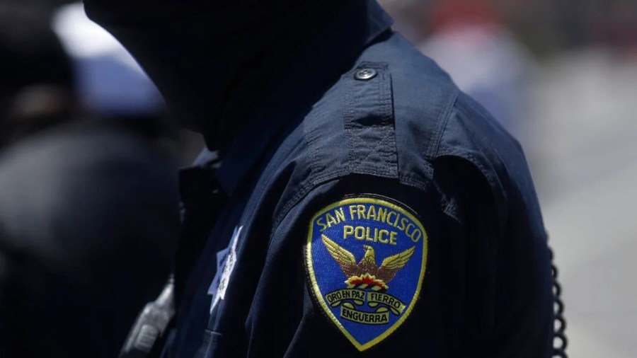 Brutal dog attack leaves California woman with 'life-threatening' injuries
