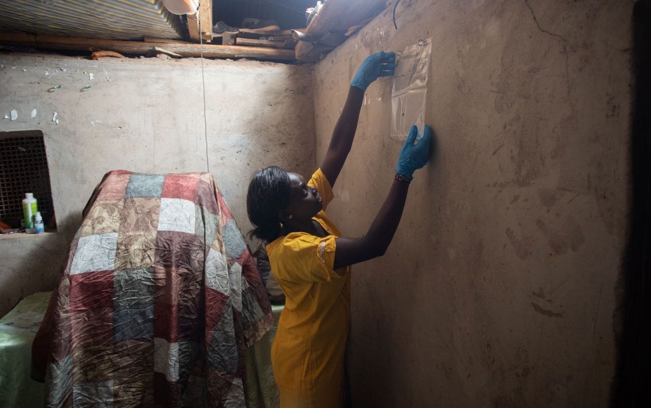 Mosquitoes are evolving to evade bed nets – but there may be a solution