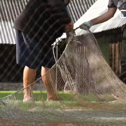 Old Estonian fishing nets now protecting Ukraine from drones