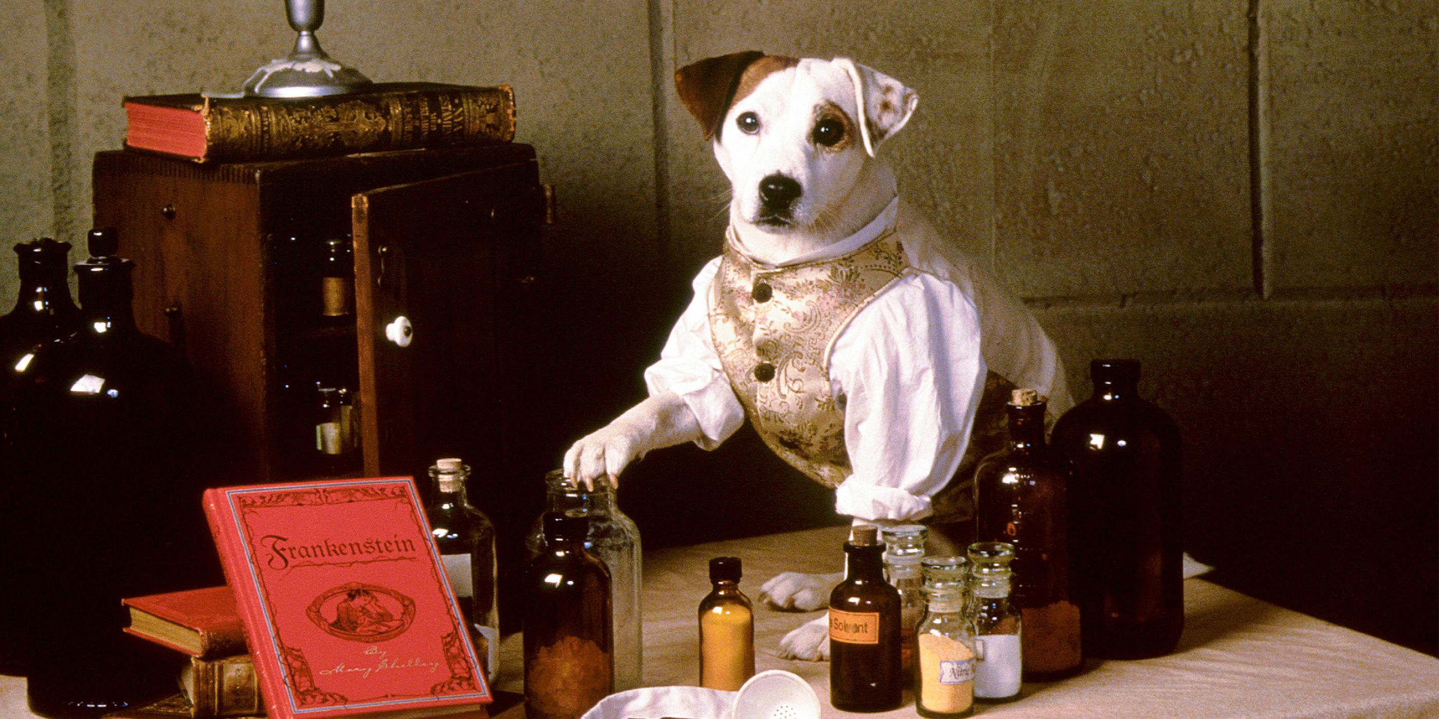 ‘Wishbone’ Officially Comes to Theaters for 30th Anniversary Event [Exclusive]