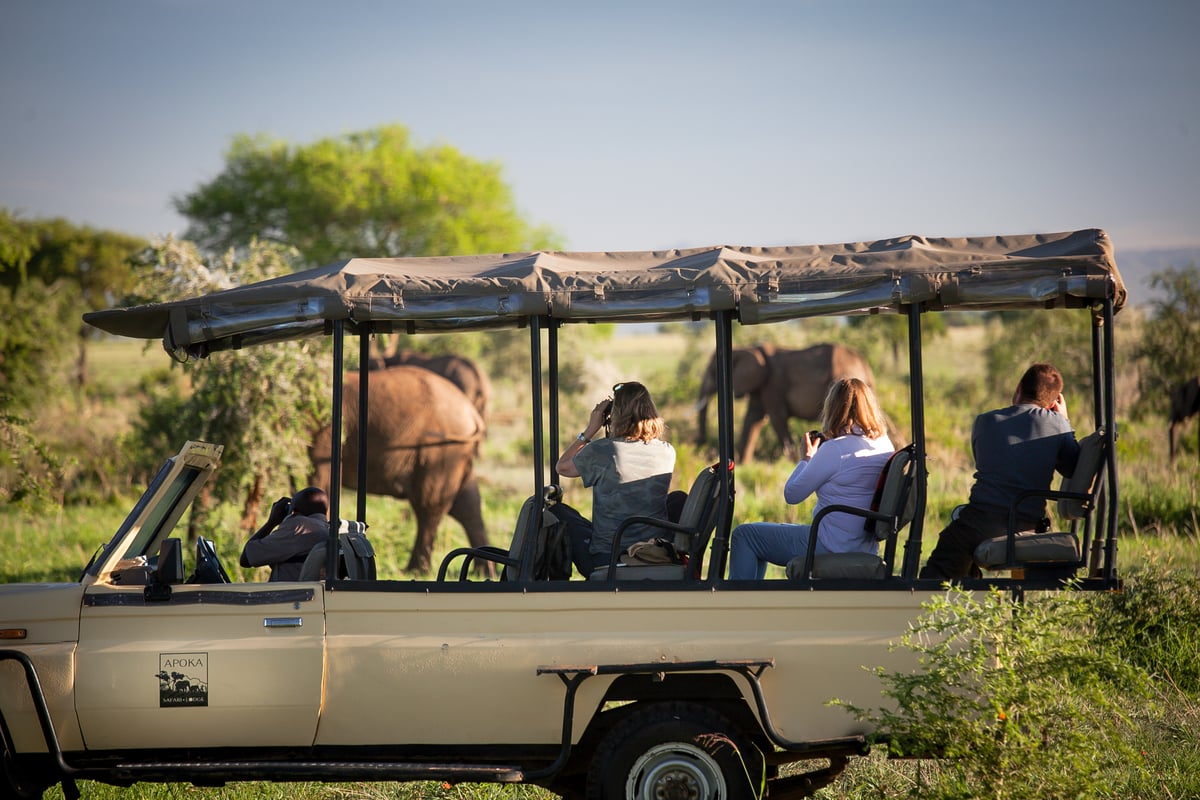 Is this Africa's most surprising safari destination?