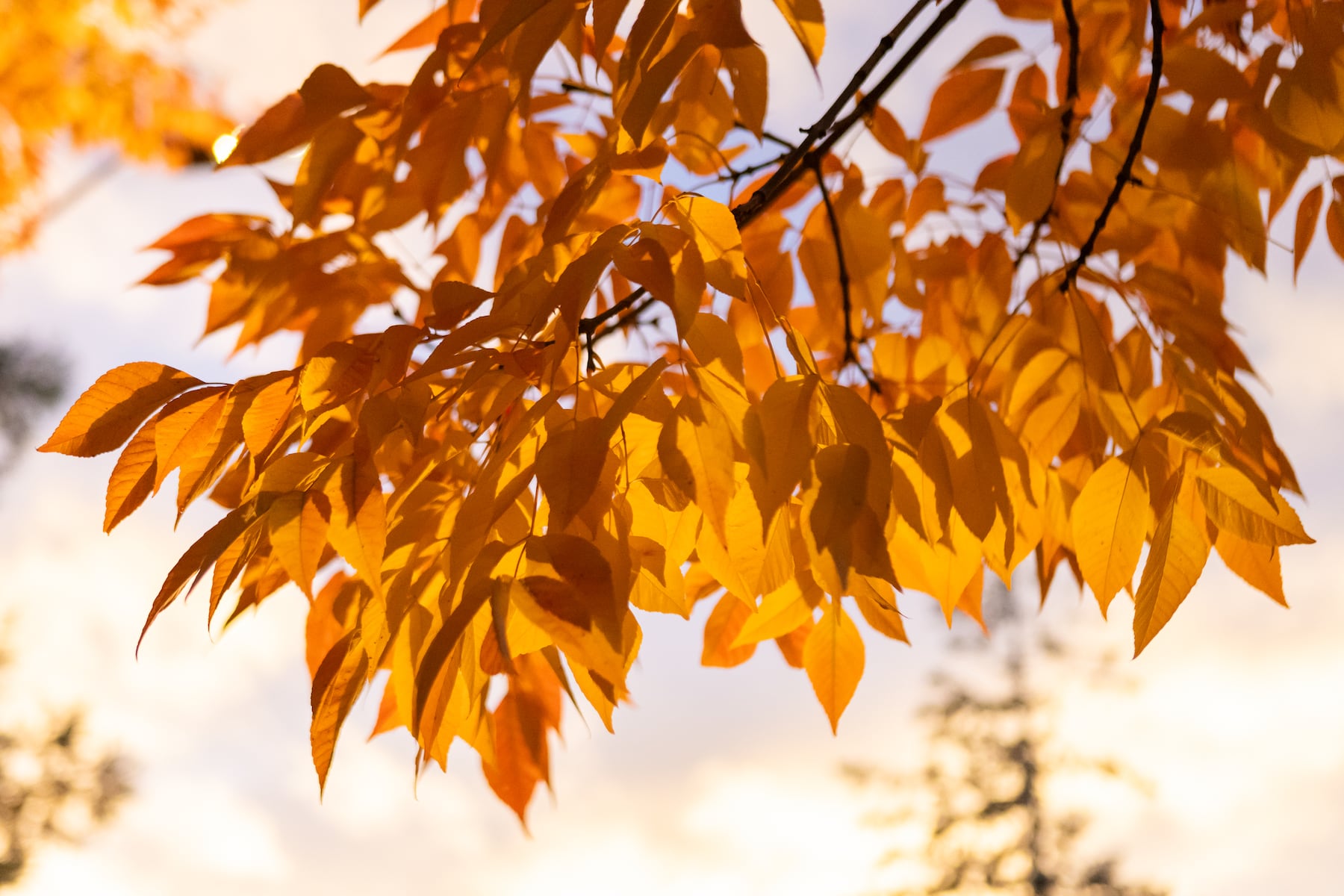 Fall is coming to Oregon. Here’s what we’re most excited about