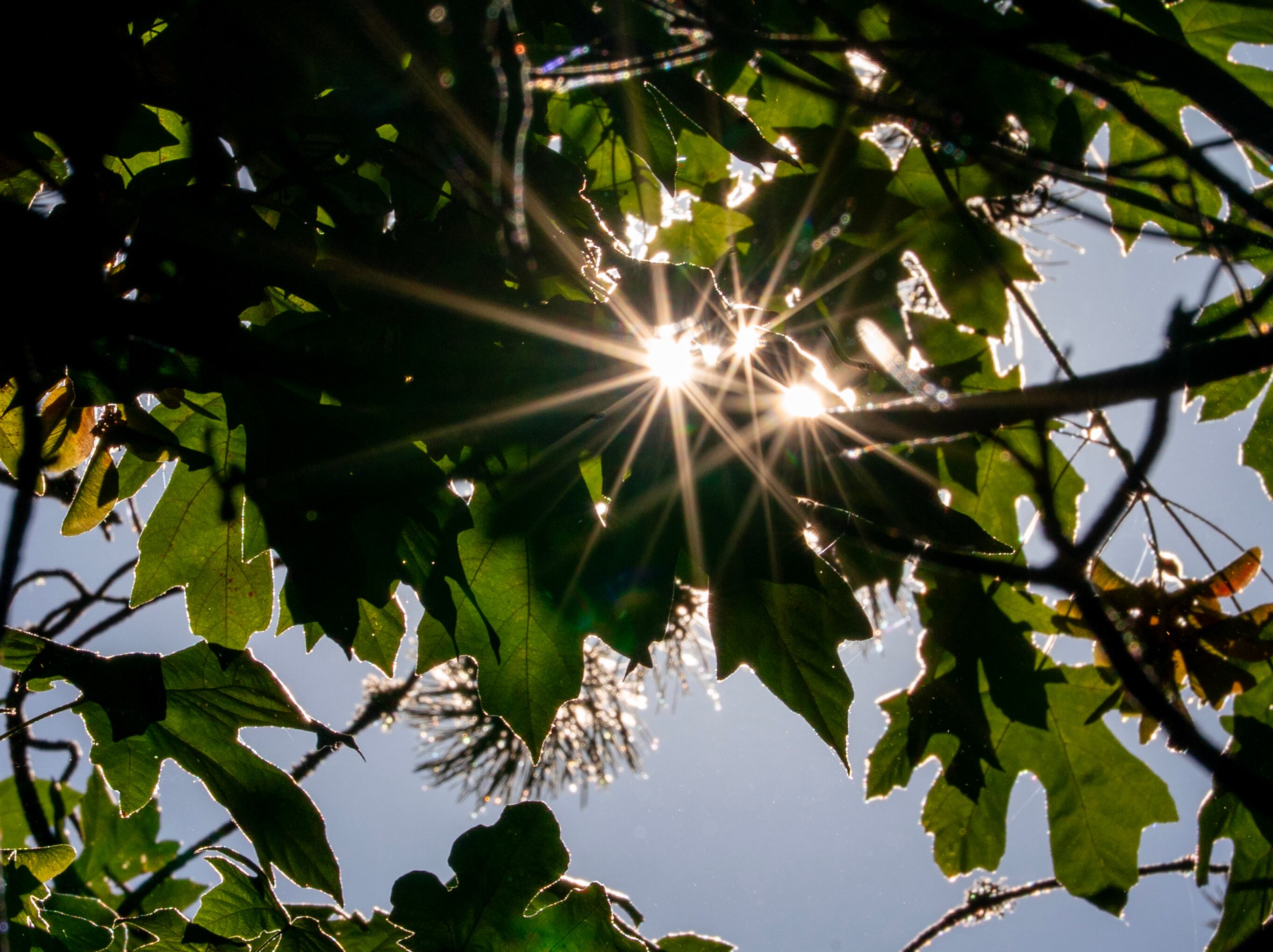 OPB’s First Look: Hot in Portland