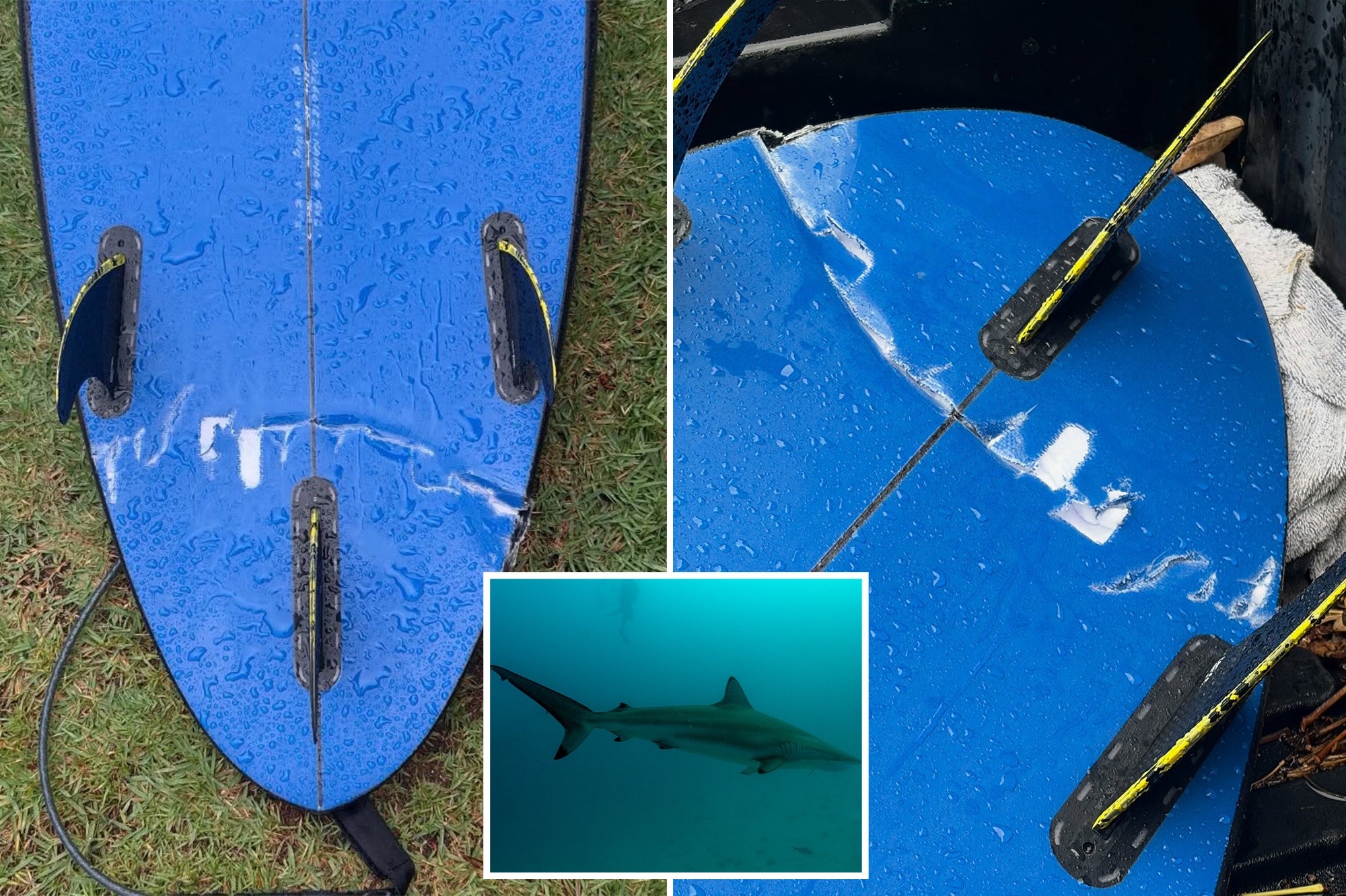 Surfer recounts terrifying run-in with massive, aggressive tiger shark at Hawaii surf spot