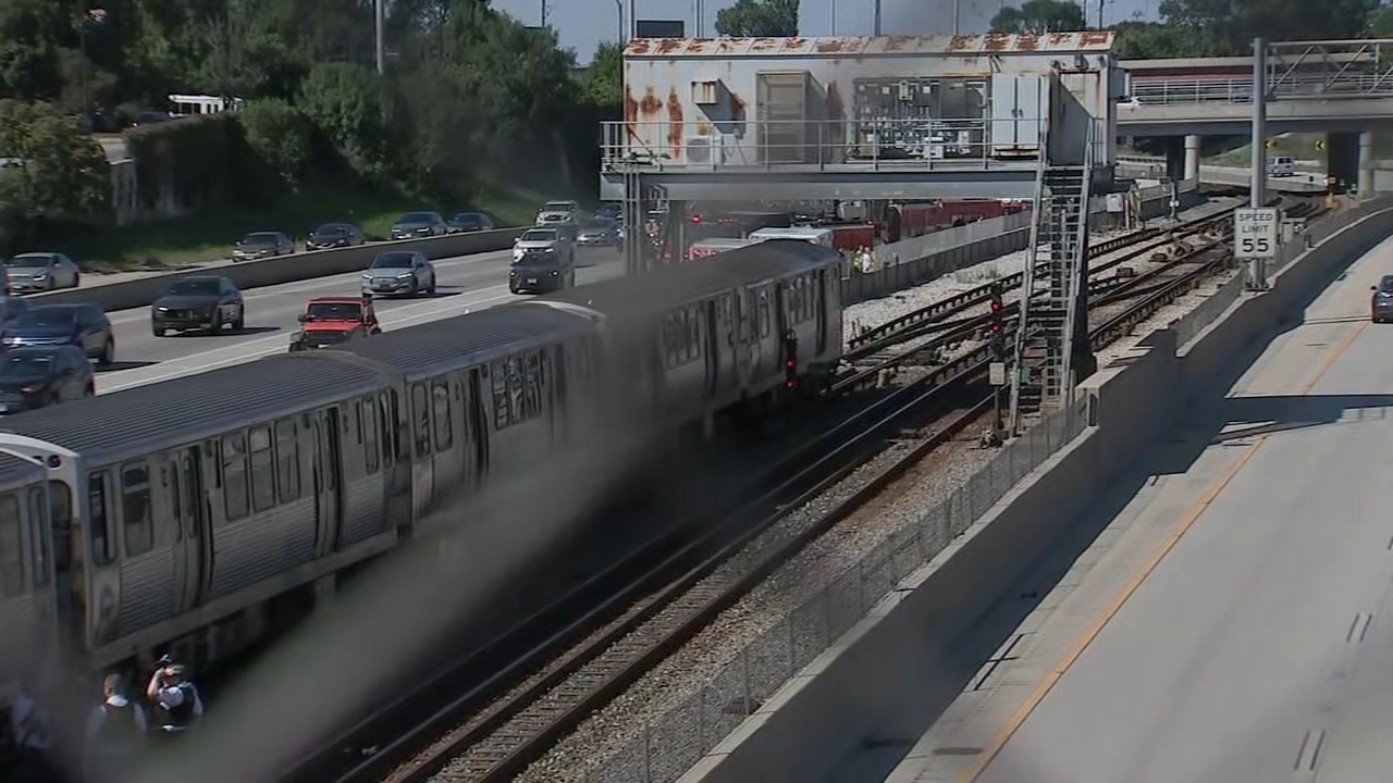 Man pushed to death from moving Red Line train on South Side identified by officials