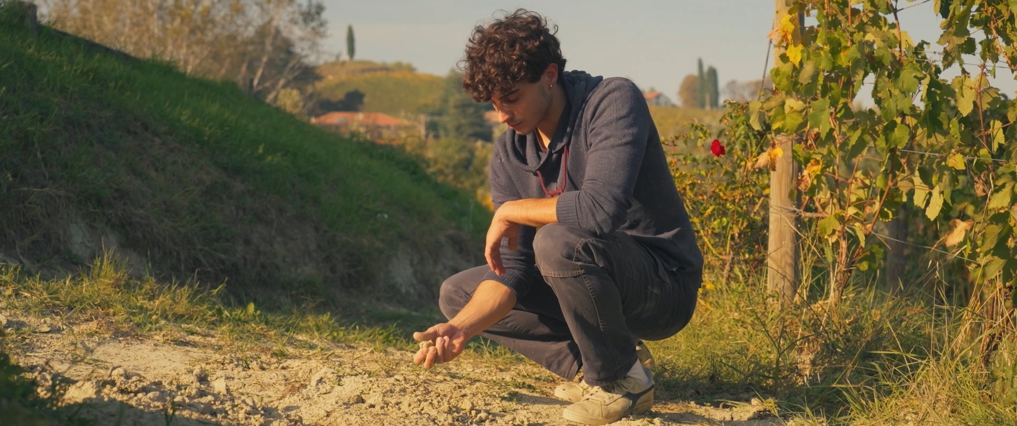 Drink In ‘Low Lies The Land,’ Documentary Set In Luscious But Imperiled Winemaking Region Of Italy’s Piemonte – Toronto Film Festival