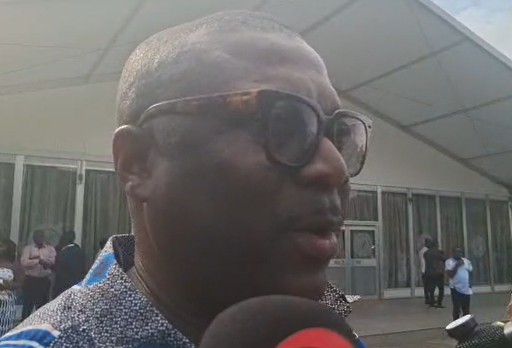 NPP approves proxy voting for October 3 national officers elections