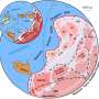 Gondwana really was a supercontinent—and it may have helped kickstart life on Earth