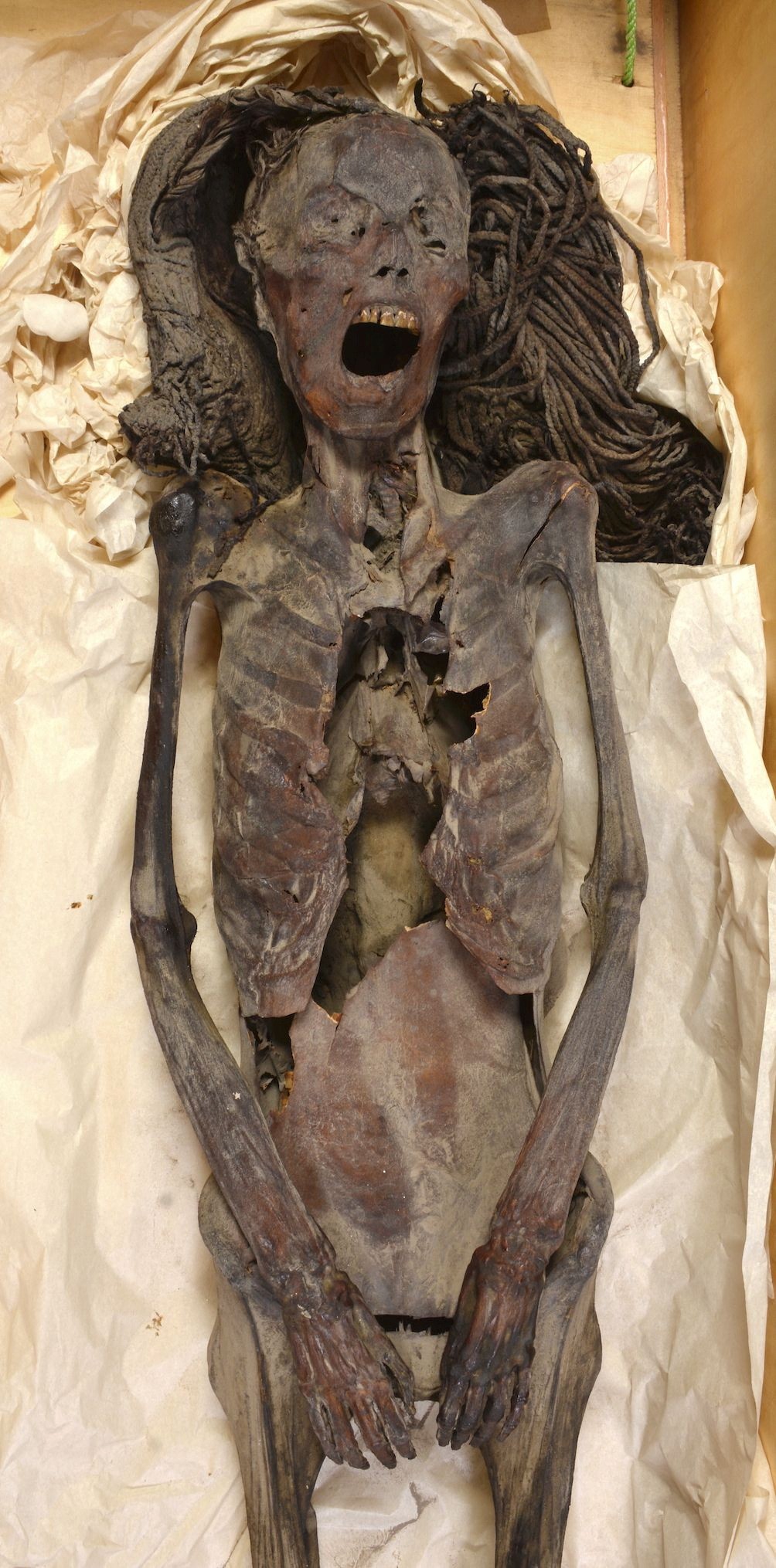 Archaeology mystery of Egypt’s ‘screaming mummy’ may have been solved