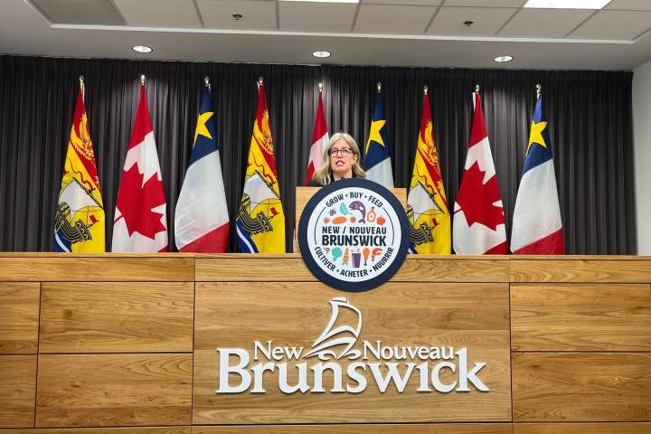N.B. moves to bar U.S. goods from major provincial contracts amid trade war