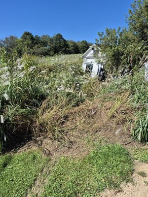Hillsboro teen injured in one-vehicle accident