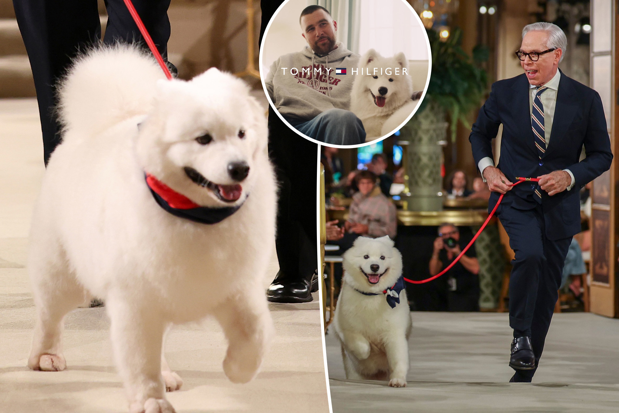 Did Taylor Swift and Travis Kelce’s dog Wendy just make her runway debut?