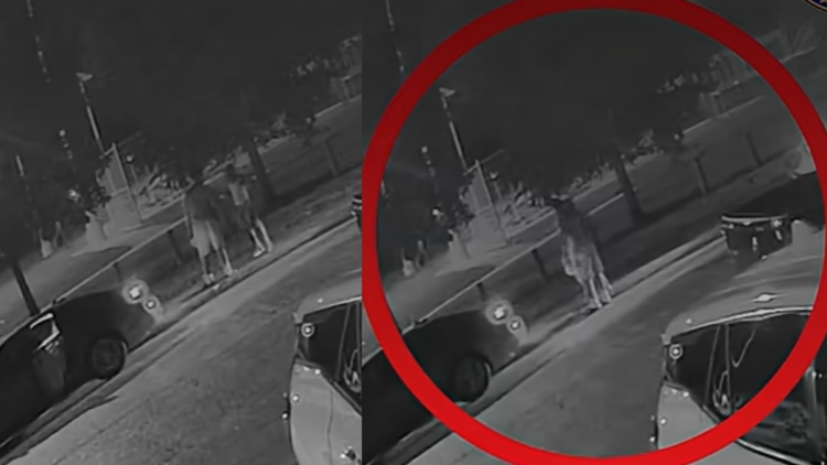 Surveillance video shows person of interest before Houston man found shot to death in crashed car