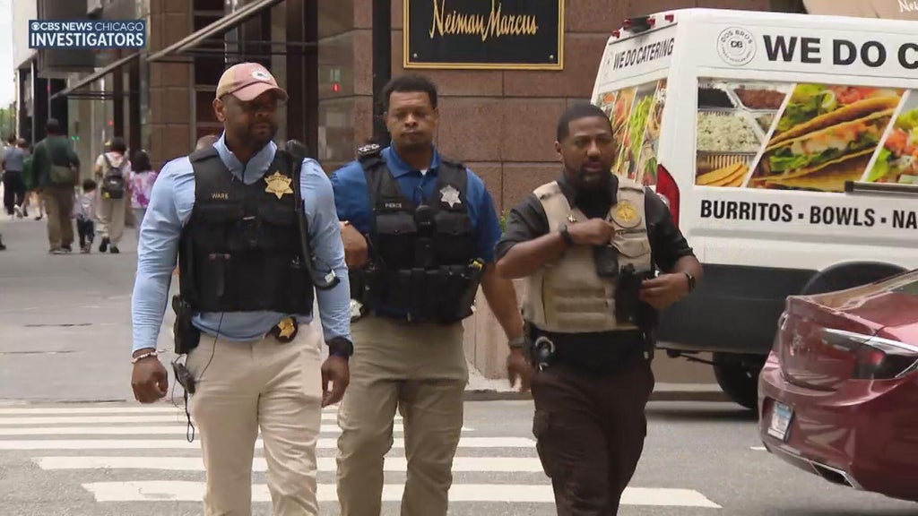 Three years in, Cook County Sheriff's safety efforts on Magnificent Mile showing progress