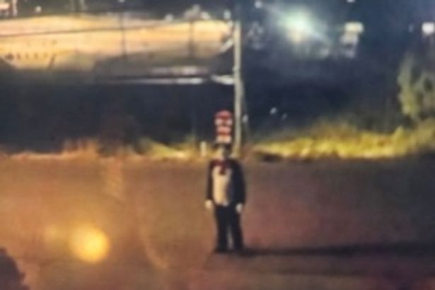Police hunt 'Cat in the Hat' figure after teenage girl 'chased' through streets