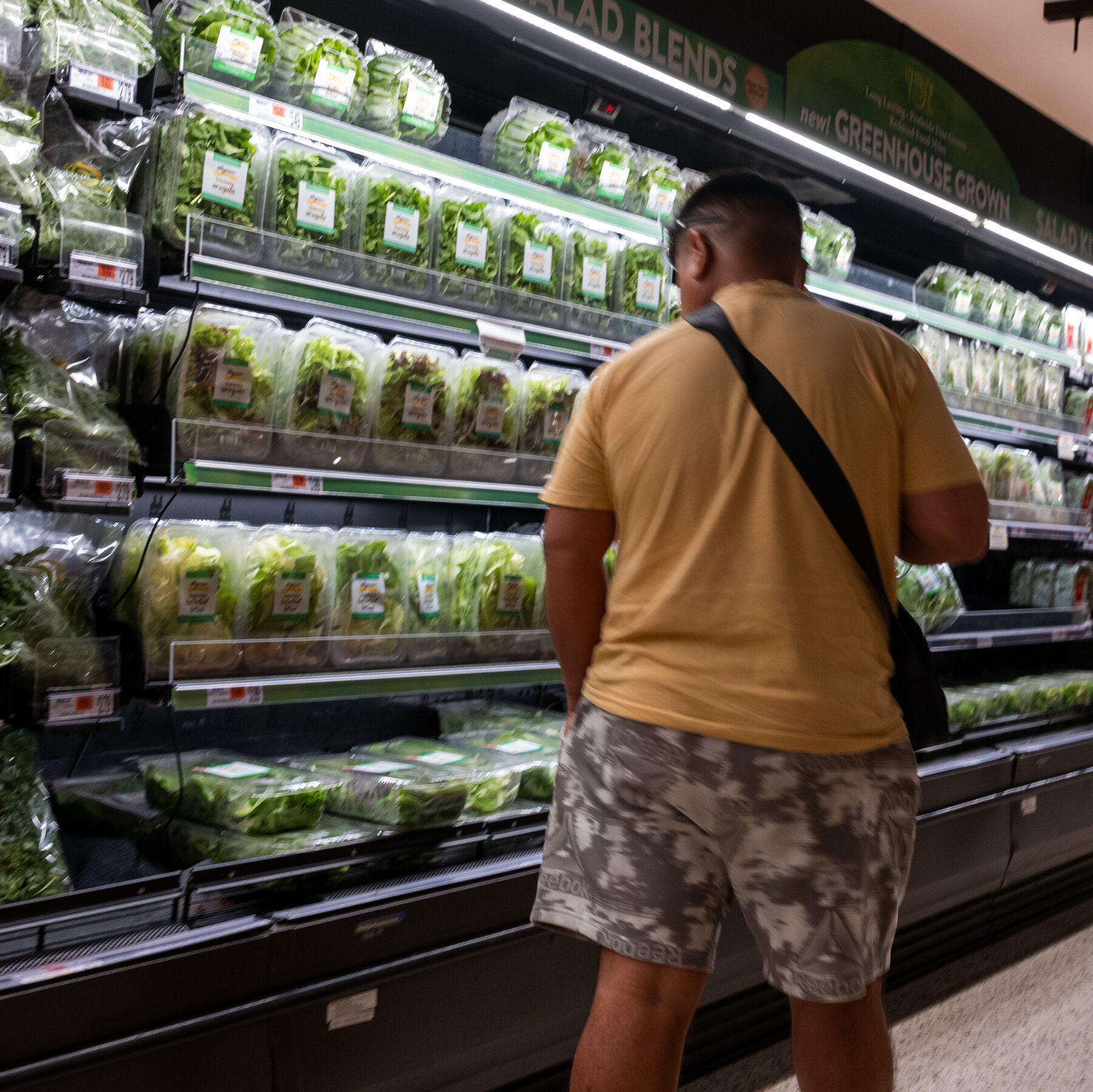 Cyclospora Outbreak Is Over, Federal Officials Are Expected to Announce