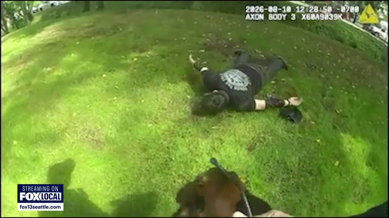 K9 helps capture serial truck thief in Fairwood, WA