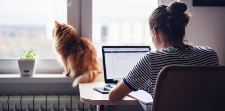Surprise vote leaves Victoria’s WFH laws belly up