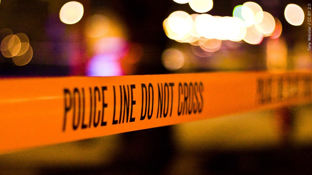 11-year-old girl arrested in fatal shooting of 15-year-old brother