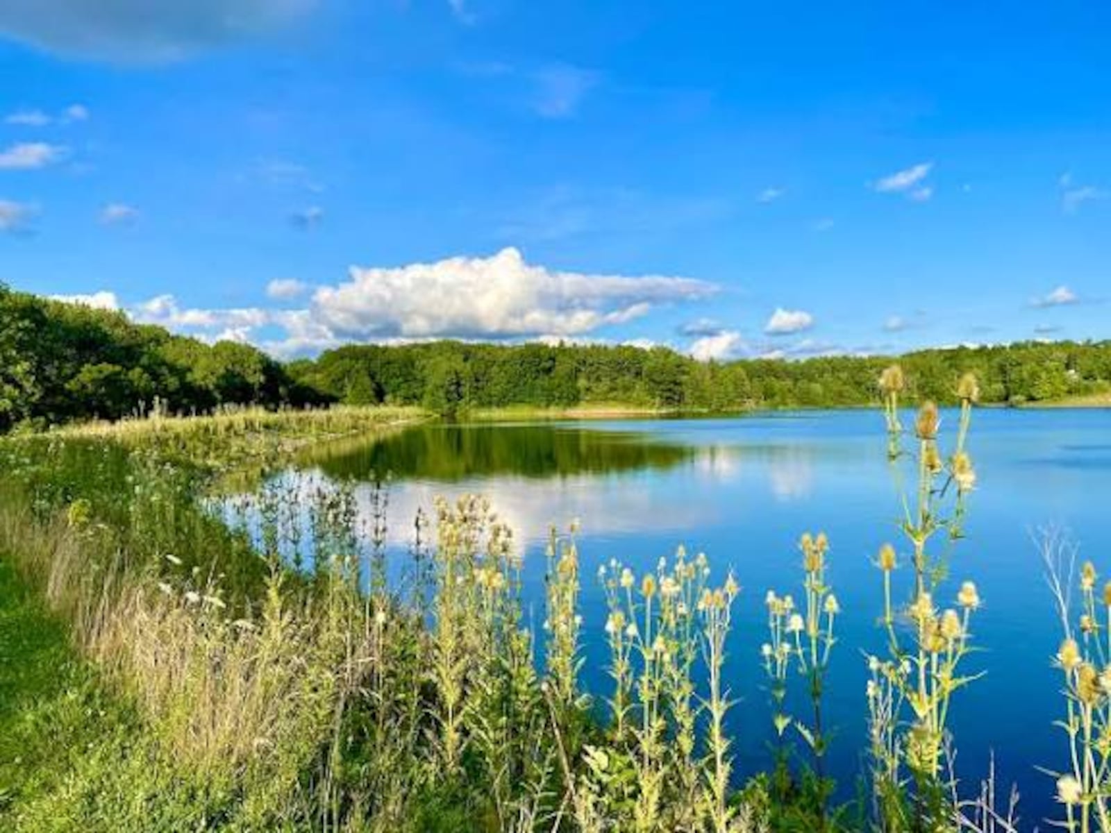 Lake Medina slated to be closed through Sept. 25