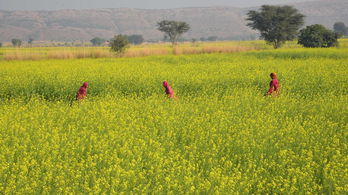 Detailed mapping of agro-processing clusters to augment export, investment potential