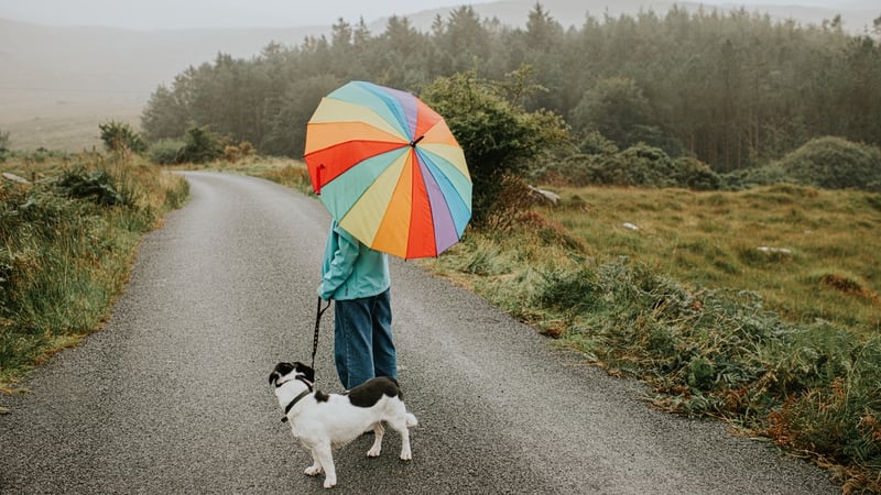 Status Yellow rain warning issued for five counties
