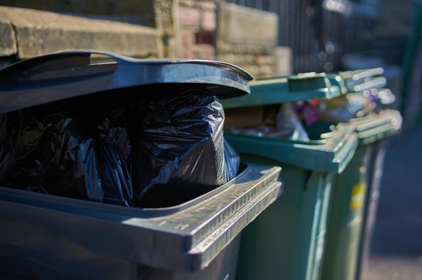'I went to take bins out and got shock of my life after lifting wheelie bin lid'