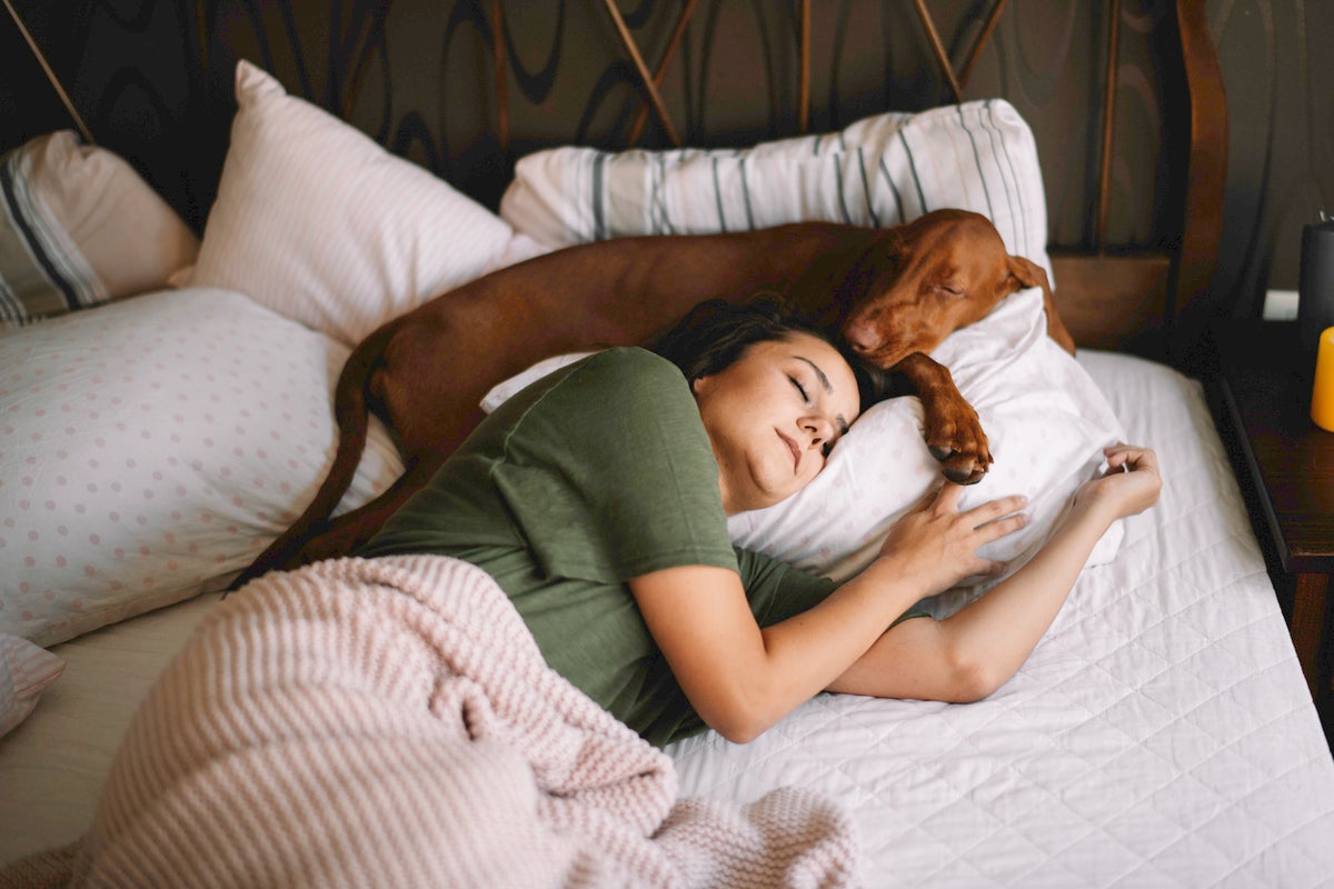 Sleeping with your pet could have negative impacts on your health, experts say