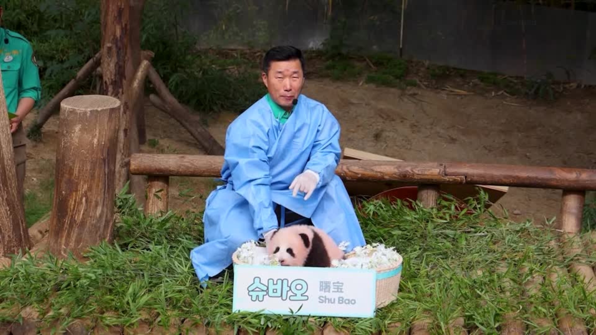 South Korean zoo names giant panda cub on 100th day