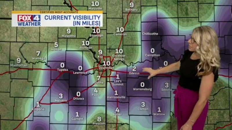 Dense fog then sunshine!