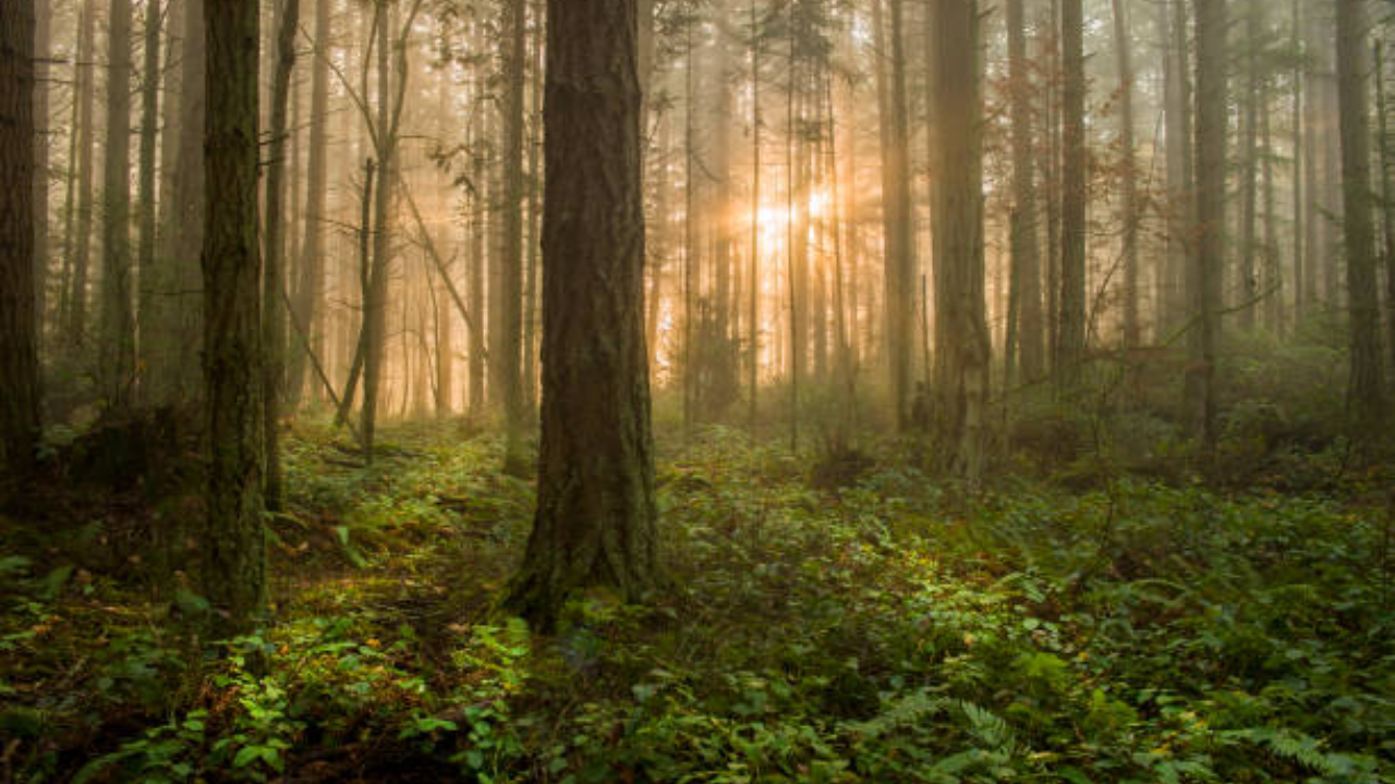 Vermont family permanently protects more than 18,000 acres from development