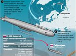 Putin's undersea threat to Britain: UK is 'woefully' short of ways to stop cable attacks that could spark chaos, experts warn after Moscow's 'secret weapon' sabotage plot is foiled