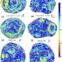 A new surface atlas of Phobos will help MMX mission collect its samples