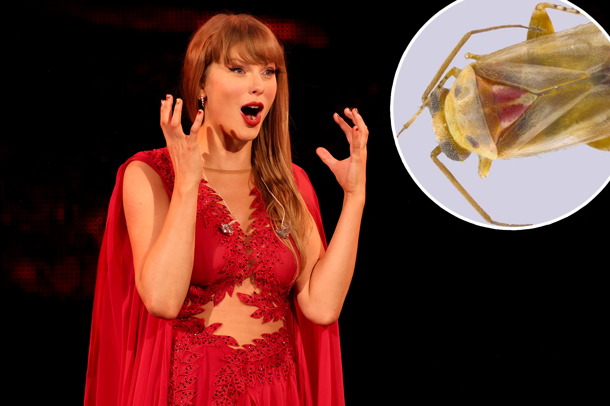 Taylor Swift fans are invading STEM — and naming new species in her honor