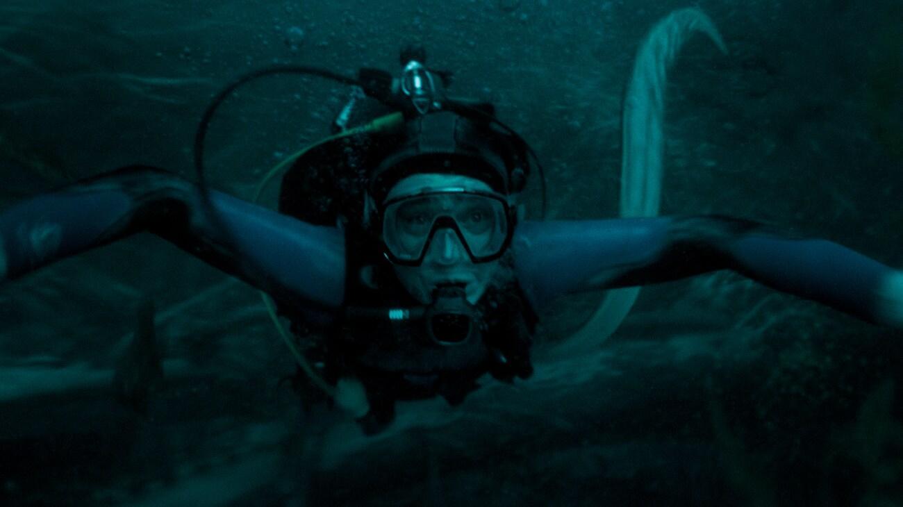 Inside Whalefall: Sperm Whale Biology Makes Its Premise More Terrifying