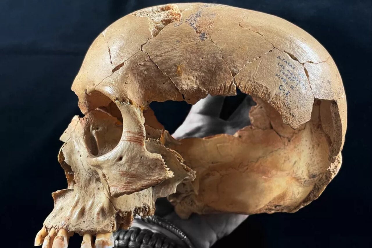 Archaeologists Thought Prehistoric Cannibalism Was Always the Same. The Bones Tell a Very Different Story