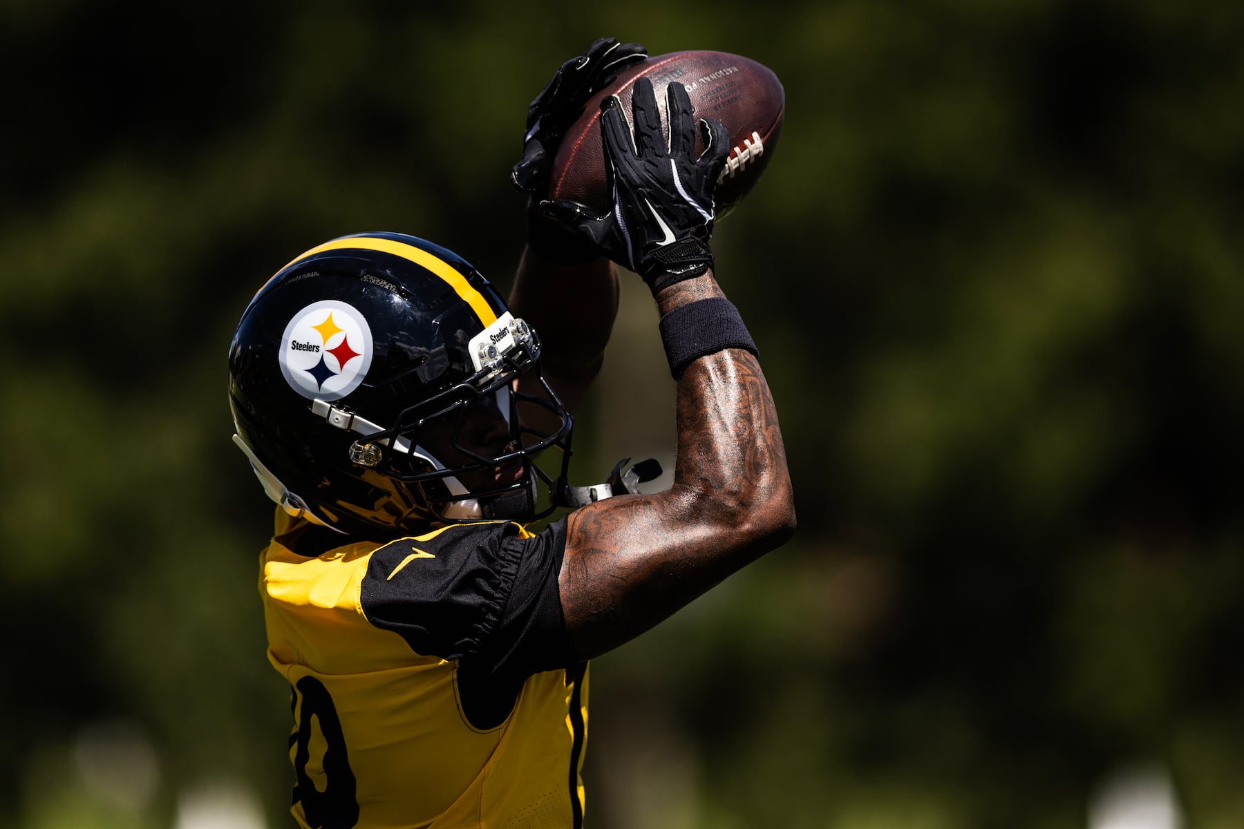 Pittsburgh Steelers cornerback fined for taunting during preseason
